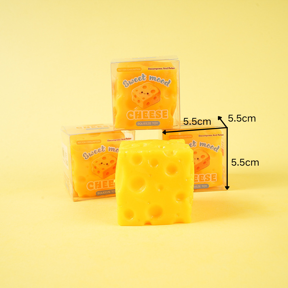 Swiss Cheese Block Crunchy Toy